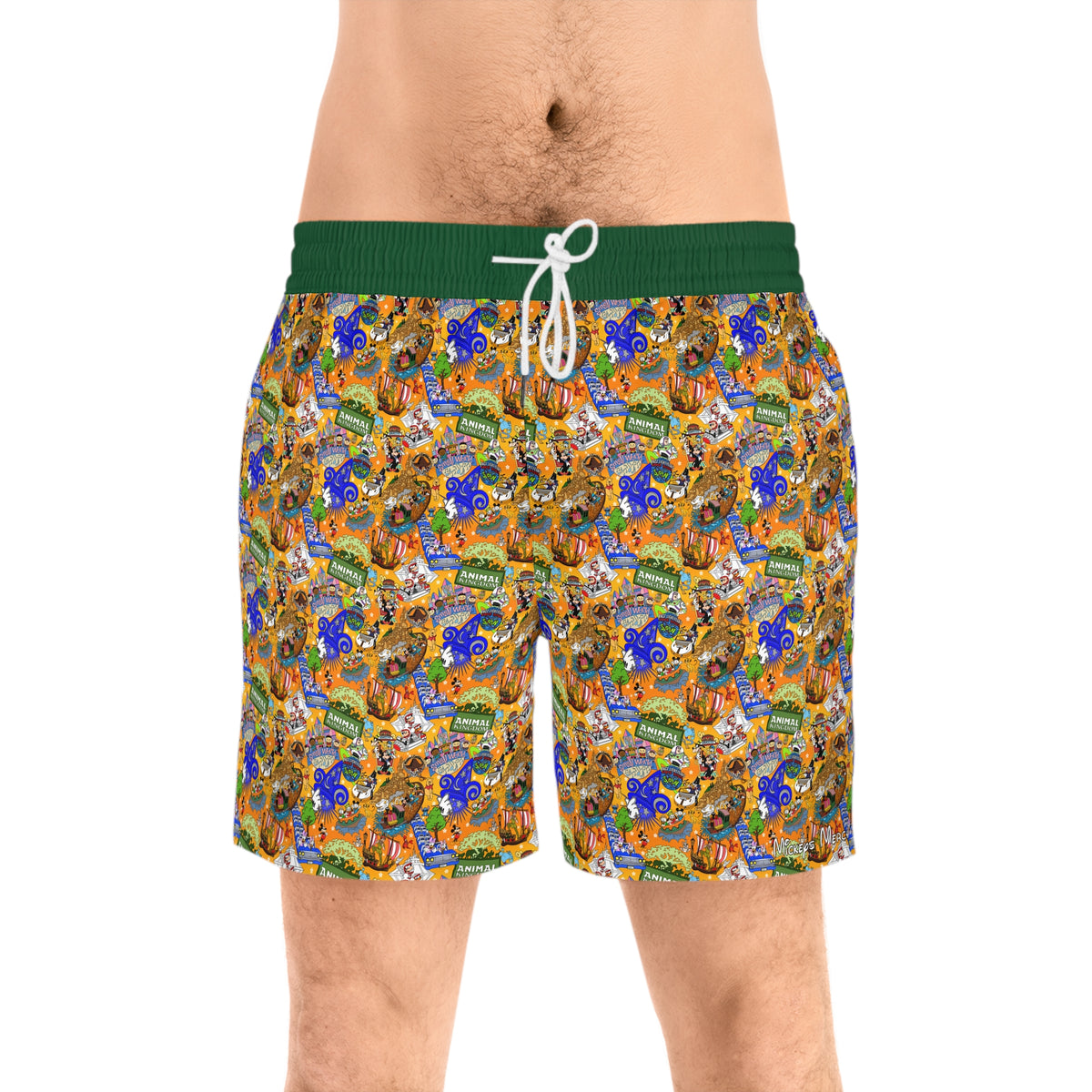 Four Parks Ride Collage Swim Trunks